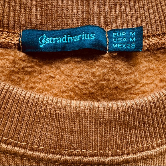 Stradivarius Rust Boxy Sweatshirt with Sequin and Bead Embellished Cat “Feline” - Picture 6 of 16